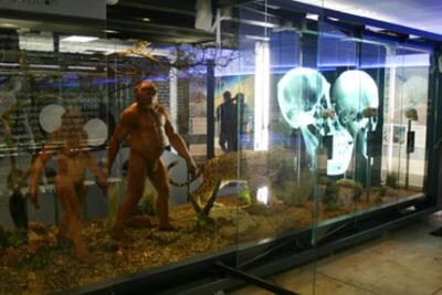 Sterkfontein Caves