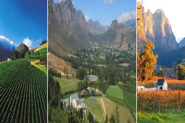 Accommodation Finder