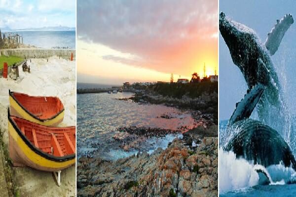 Accommodation Finder