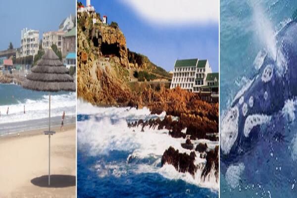 Accommodation Finder
