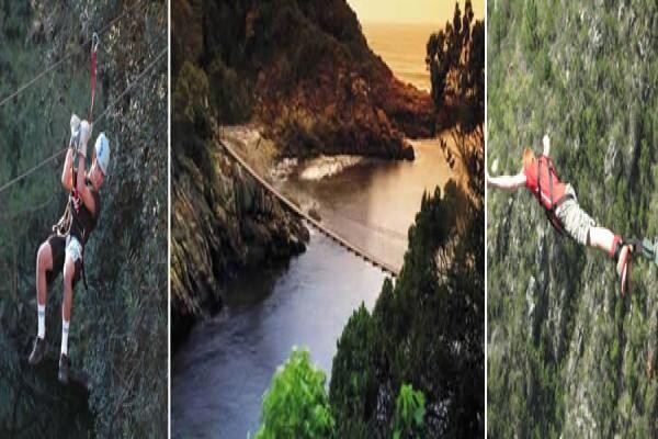 Accommodation Finder