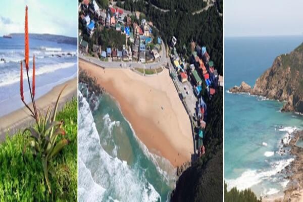 Accommodation Finder