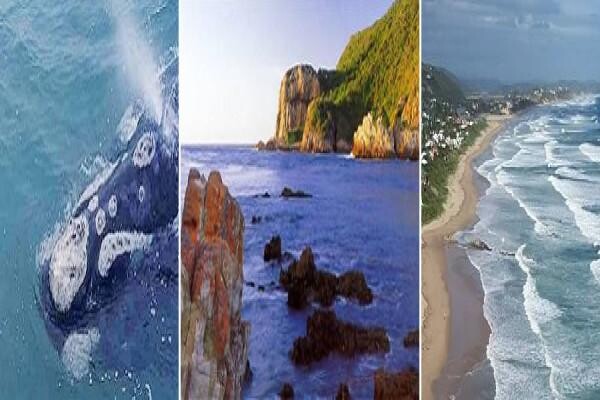 Accommodation Finder