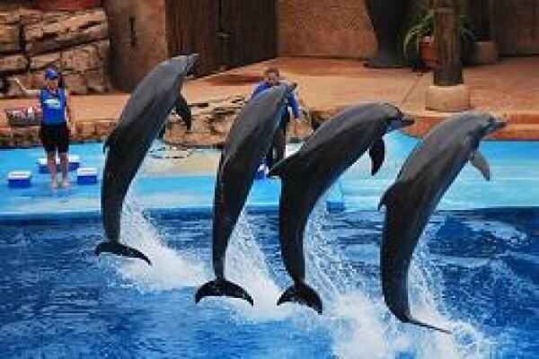Dolphin Coast B & B & Self Catering