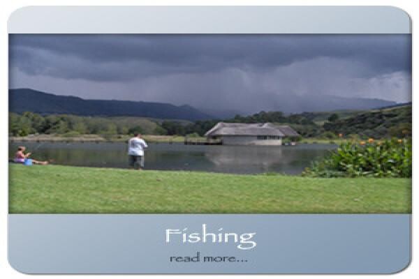 Dragon Peaks Park (Pty) Ltd