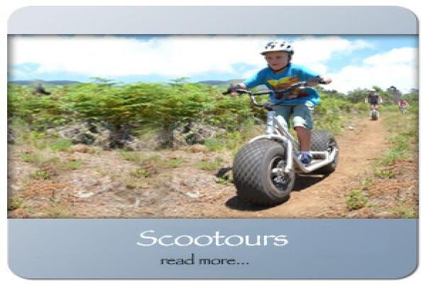 Dragon Peaks Park (Pty) Ltd