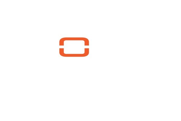 Audit BEE Inc