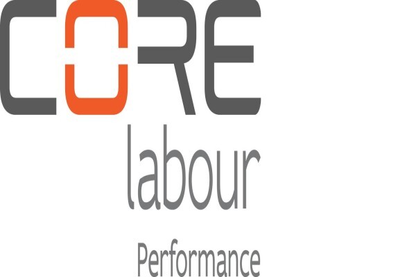 Audit BEE Inc