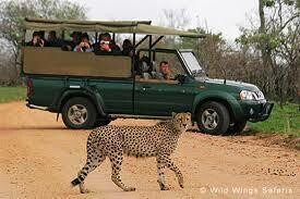 MALALA-TAU TOURS AND SAFARIS