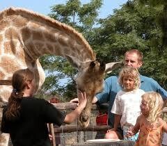 MALALA-TAU TOURS AND SAFARIS
