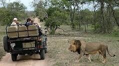 MALALA-TAU TOURS AND SAFARIS