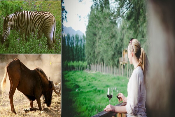 Vindoux Guest Farm & Spa