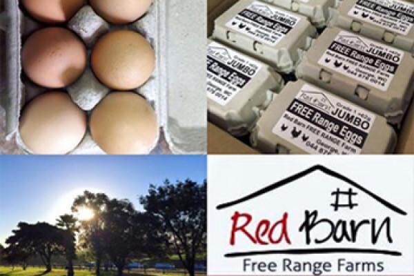 Burrough Place Bed & Breakfast