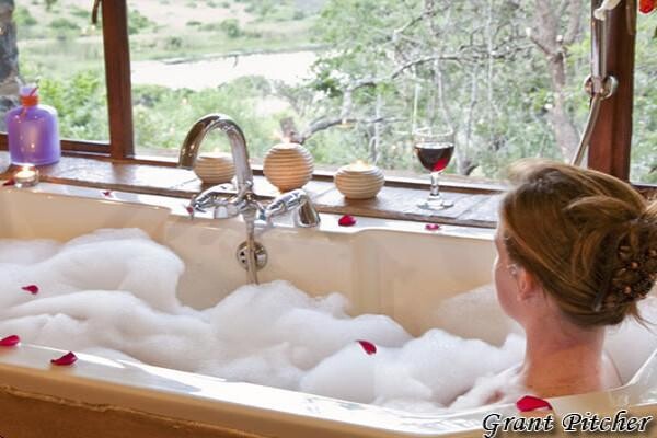 Springbok Lodge