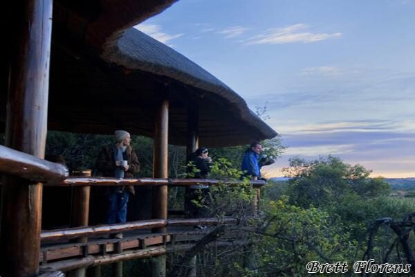 Springbok Lodge