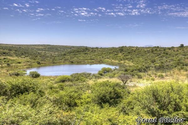 Springbok Lodge