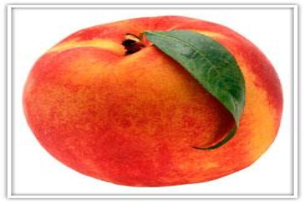 Sterkwater Boerdery:Woonstel 2