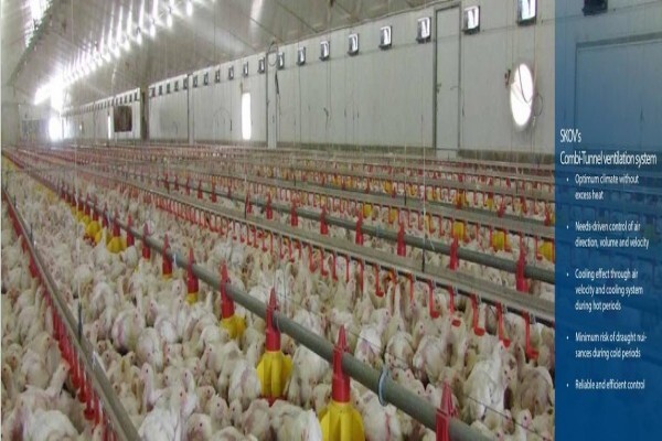 Peninsula Poultry Appliances (Pty) Ltd