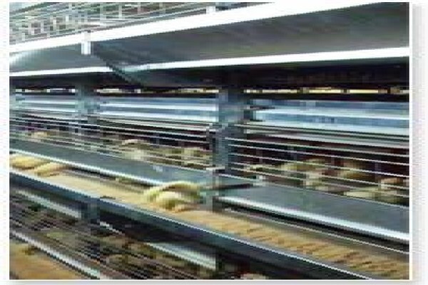 Dynamic Automation Trust CC