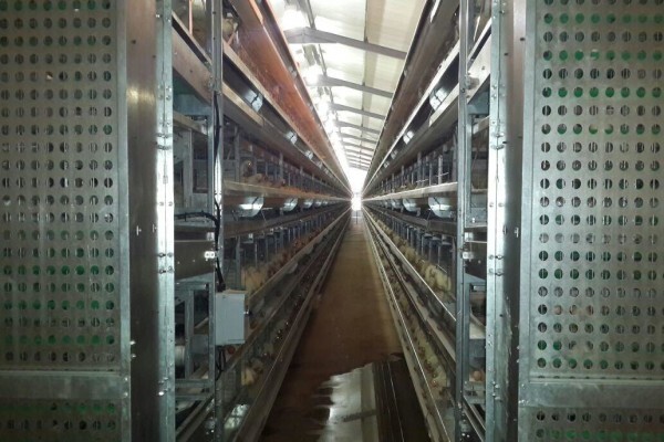 Dynamic Automation Trust CC
