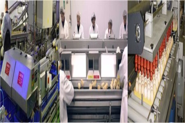 Movosa (Pty) Ltd