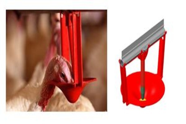 Peninsula Poultry Appliances (Pty) Ltd
