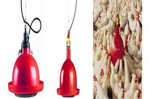 Peninsula Poultry Appliances (Pty) Ltd