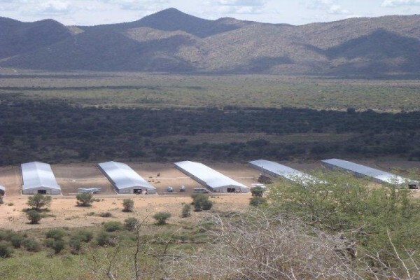 Peninsula Poultry Appliances (Pty) Ltd