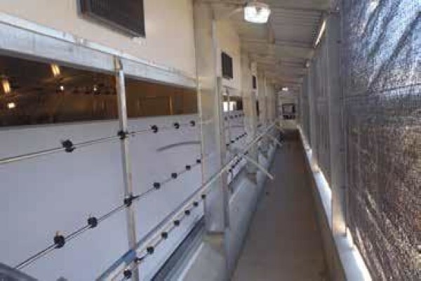 Peninsula Poultry Appliances (Pty) Ltd