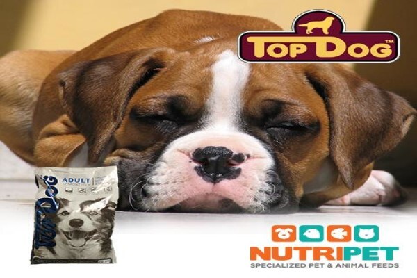 NutriPet