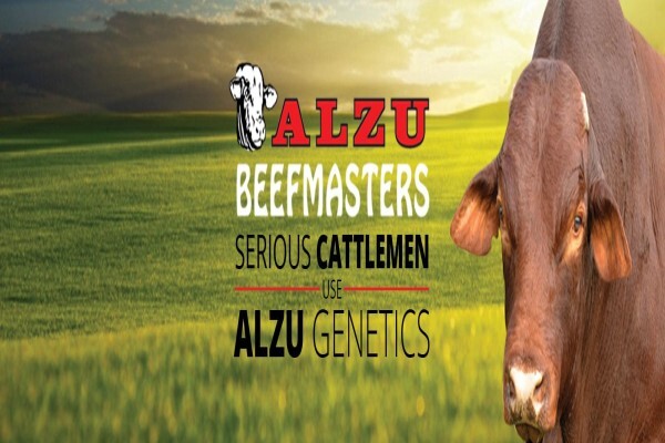 Alzu Ondernemings (Edms) Bpk