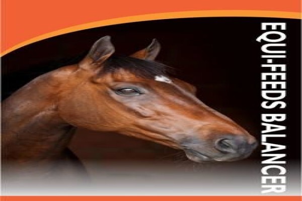 Equi Feeds