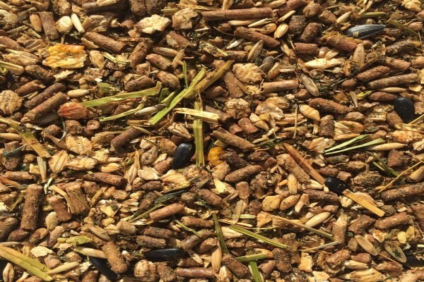 Equi Feeds
