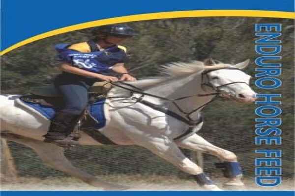 Equi Feeds