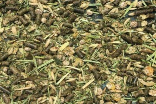 Equi Feeds