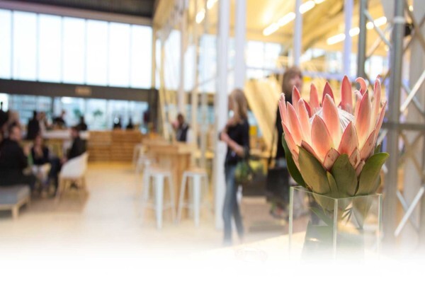 Southern Cross Conferences & Events