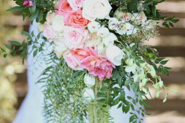 Eureka Receptions