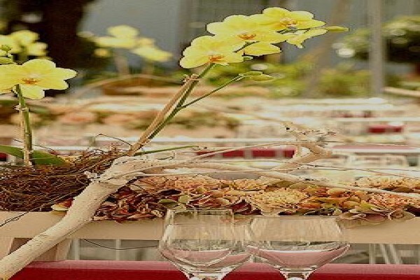Event Interiors CC
