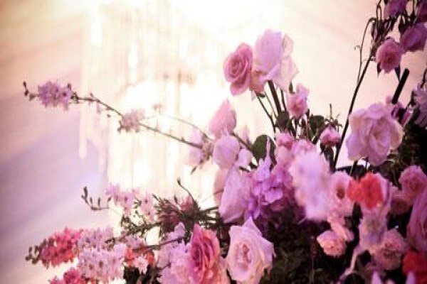Event Interiors CC