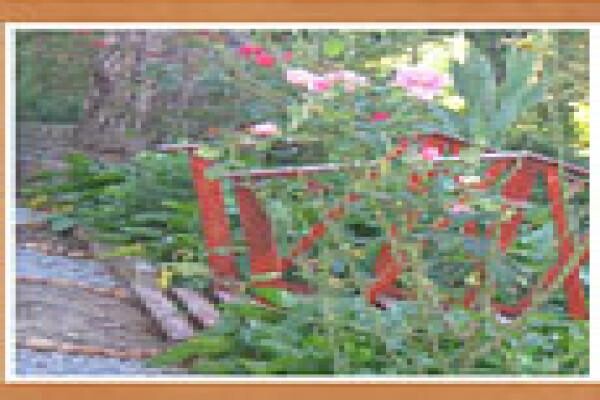 Mak & Mak Guesthouse & Tea Garden