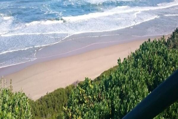 Dolphin Dunes