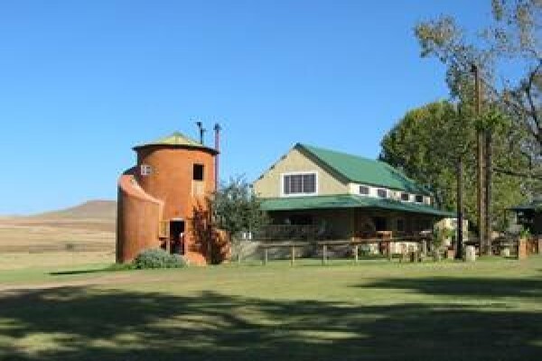 Tower Of Pizza B&B & Restaurant