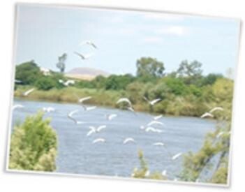 Waterfront Guest Farm