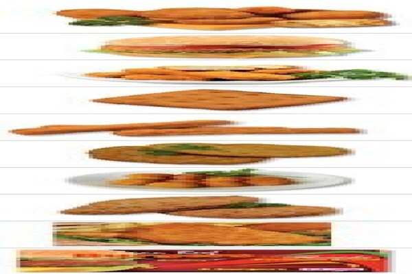 Florida Foods