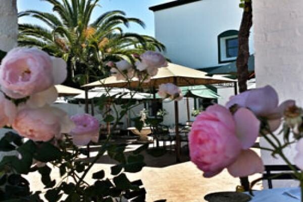Avontuur Estate (Pty) Ltd:Restaurant