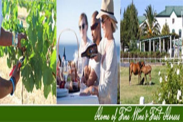 Avontuur Estate (Pty) Ltd:Restaurant