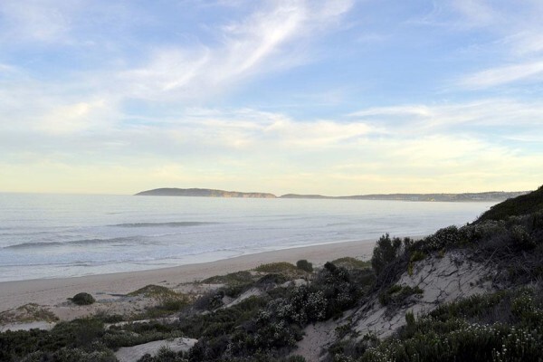 Plett Window Cleaners