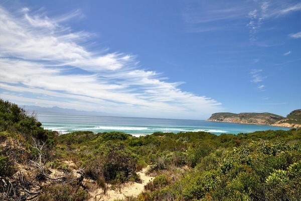 Plett Window Cleaners