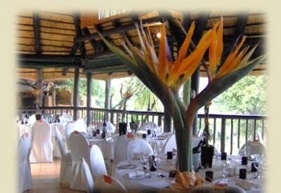 Leopard Lodge
