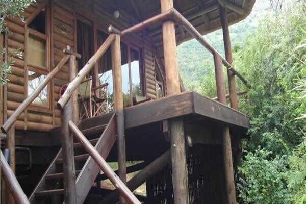 Leopard Lodge